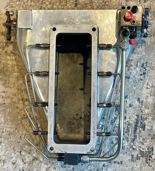 Polished Enderle Birdcatcher