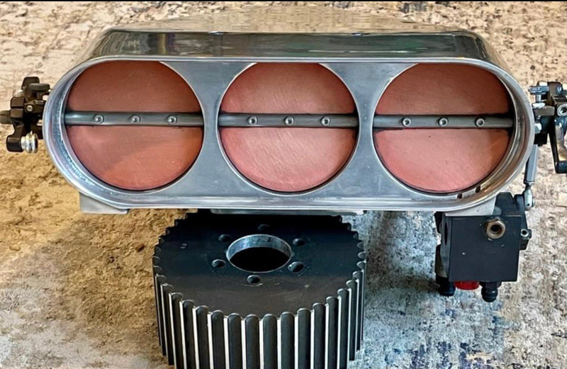 Load image into Gallery viewer, Polished Enderle Birdcatcher