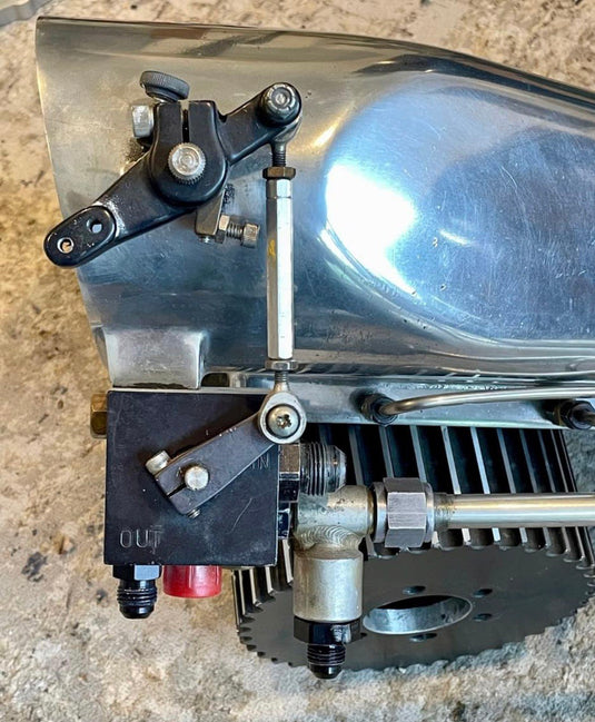 Polished Enderle Birdcatcher